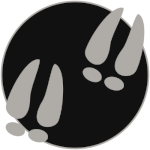 Tracking (Trapmaking)