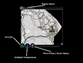 Thumbnail for version as of 21:14, 12 May 2026
